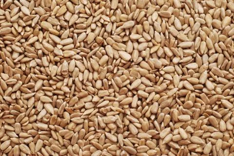 Sunflower seeds Stock Photos