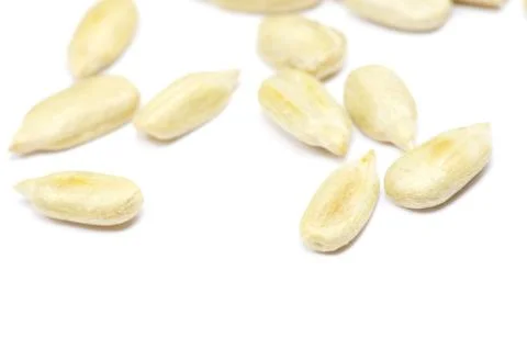 Sunflower seeds Foto stock
