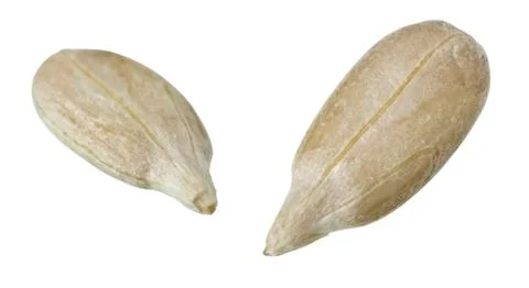 Sunflower seeds Stock Photos