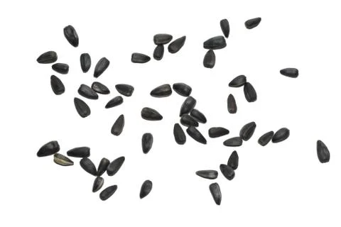 Sunflower seeds Stock Photos