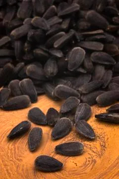 Sunflower seeds Stock Photos