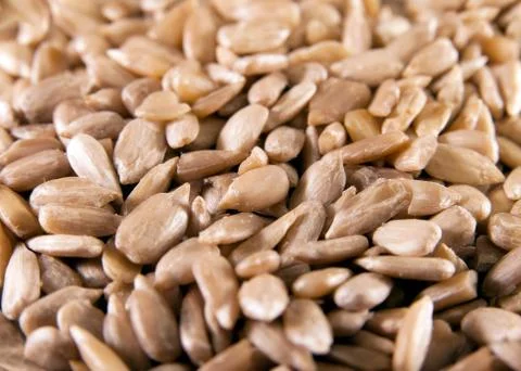Sunflower seeds Stock Photos