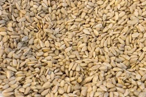 Sunflower Seeds Stock Photos