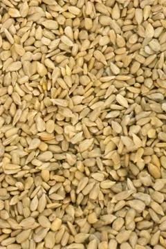Sunflower Seeds Stock Photos