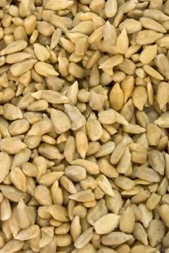 Sunflower Seeds Stock Photos