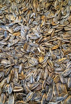 Sunflower seeds Stock Photos