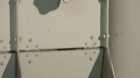 Sunflower seeds processing Stock Footage 42756808