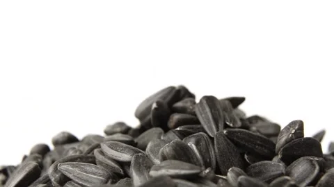 Sunflower seeds rotate on a white background. Stock Footage 185381294