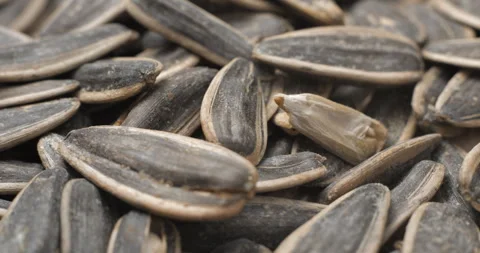 Sunflower seeds rotating close-up studio shot Stock Footage 323314196