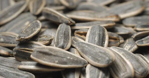 Sunflower seeds rotating close-up studio shot Stock Footage 323314220