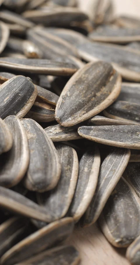 Sunflower seeds rotating close-up studio shot Stock Footage 323314326