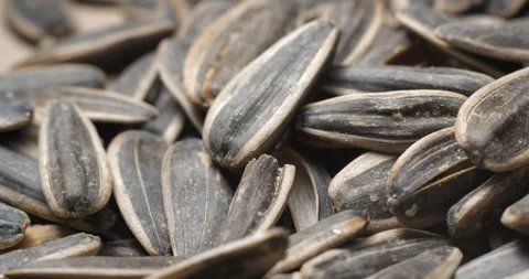 Sunflower seeds rotating close-up studio shot Stock Footage 323314450
