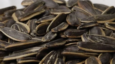 Sunflower seeds on a rotating plate Stock Footage 169785155