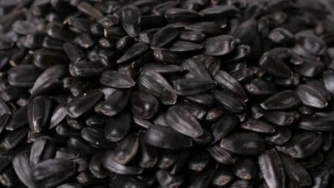 Sunflower seeds, rotation, close up, background Stock Footage 152136616
