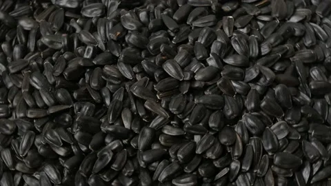Sunflower seeds, rotation, close up, background Stock Footage 152138818