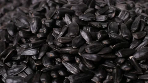 Sunflower seeds, rotation, close up, background Stock Footage 152139787