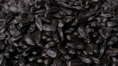Sunflower seeds, rotation, close up, background Stock Footage 152139927