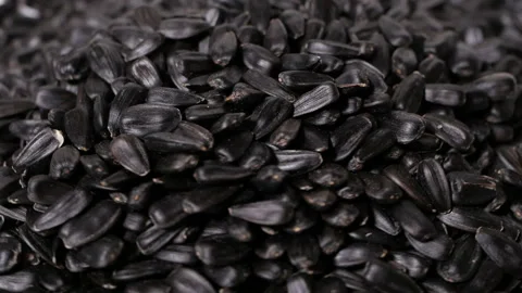 Sunflower seeds, rotation, close up, background Stock Footage 152153652