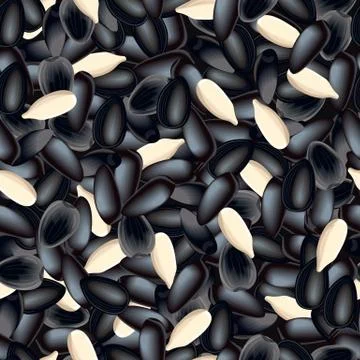 Sunflower seeds Seamless vector pattern. Whole and peeled color icon cartoon  Stock Illustration