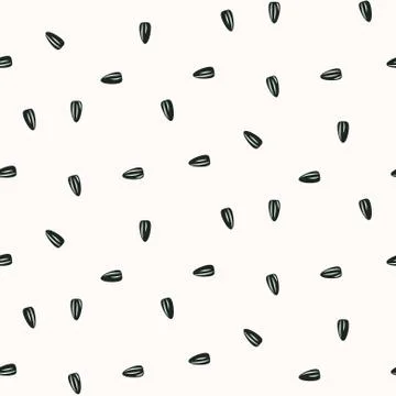 Sunflower seeds seamless vector pattern on white. Stock Illustration