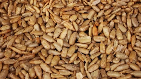 Sunflower seeds seed closeup texture video on rolling rotating looping plate Stock Footage 104327373