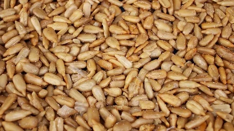 Sunflower seeds seed closeup texture video on rolling rotating looping plate Stock Footage 104327495