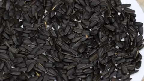 Sunflower seeds seeds close up. Loop rotation. Background rotates plate with sun Stock Footage 258420865