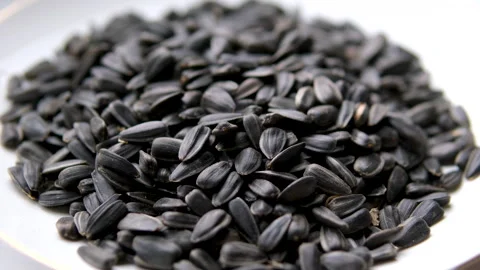 Sunflower seeds seeds close up. Loop rotation. Front of the camera rotates plate Stock Footage 302593713