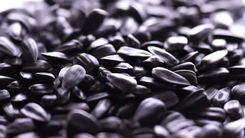 Sunflower seeds selective. Macro shot. Slow motion Stock Footage 195294467