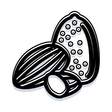 Sunflower seeds shell and kernel healthy snack Stock Illustration