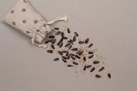 Sunflower seeds sprinkled on a table from a linen bag, kraft paper background Stock Photos