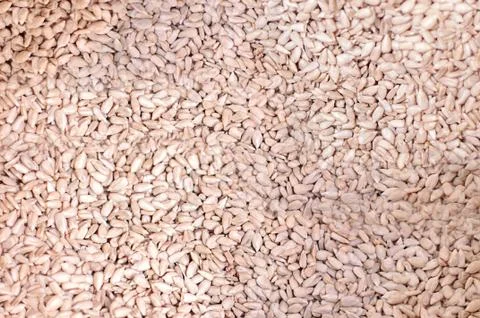 Sunflower Seeds Texture As Background. Foto stock