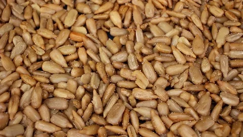 Sunflower seeds texture video rotating food closeup background Stock-Footage 99015419