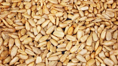 Sunflower seeds texture video rotating food closeup background Stock Footage 99015489