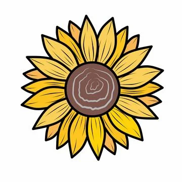 Sunflower with seeds vector illustration Stock Illustration