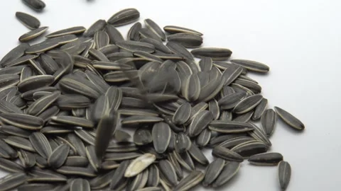 Sunflower seeds on white background close-up Stock Footage 255496471