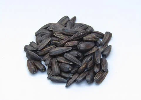 Sunflower seeds on white background Stock Photos