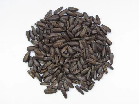 Sunflower seeds on white background 스톡 사진