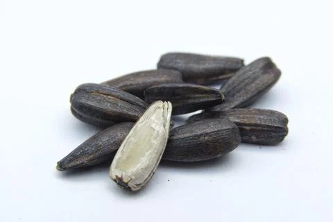 Sunflower seeds on white background Stock Photos