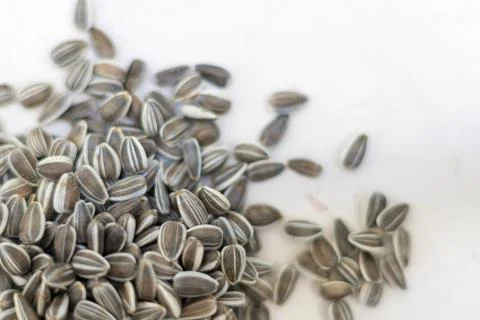 Sunflower seeds on white Stock Photos
