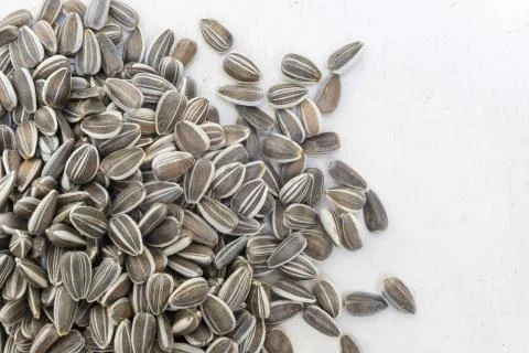 Sunflower seeds on white Stock Photos