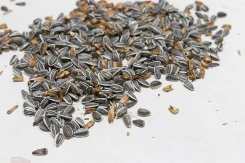 Sunflower seeds on white Stock Photos