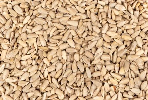 Sunflower seeds without shell Stock Photos