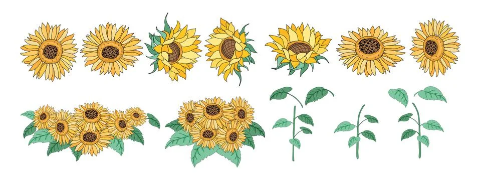 Sunflower set Stock-Illustration