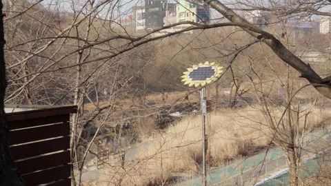Sunflower shaped solar panel in a park 스톡 동영상 168880297
