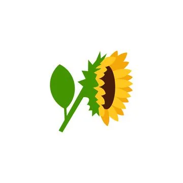Sunflower side view vector illustration isolated on white background Stock Illustration