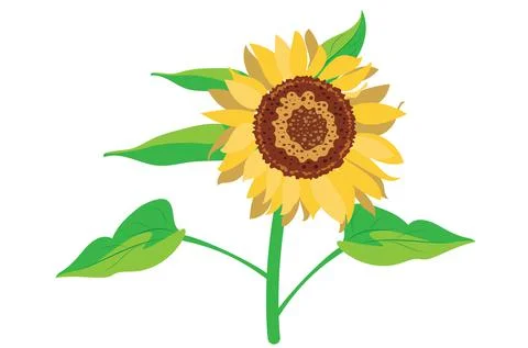 Sunflower simple flat Stock Illustration
