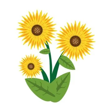 Sunflower spring image icon Illustrazione stock