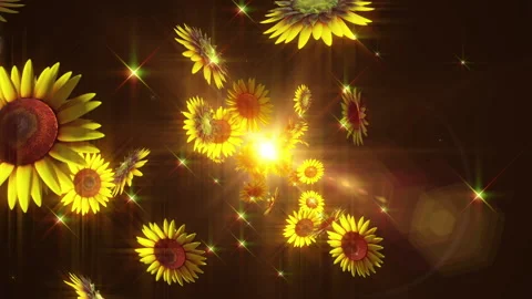 Sunflower summer flower loop animation Stock Footage 148060310