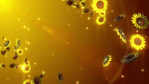 Sunflower summer flower loop animation Stock-Footage 148060346